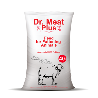 Dr.-Meat-Plus.png